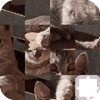Cat Puzzle Time – Relaxing Feline Fun